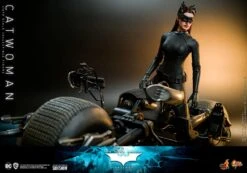 *PRE-ORDER Catwoman - Batman: The Dark Knight Hot Toys Collectibles 1/6 Scale Action Figure 14 *PRE-ORDER Catwoman - Batman: The Dark Knight Hot Toys Collectibles 1/6 Scale Action Figure -Children Toys Store catwoman dc comics gallery 61b033290ff4c