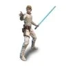 Hasbro ***LAST COUPLE*** Star Wars 8 Inch Hyperreal Action Figure - Luke Skywalker